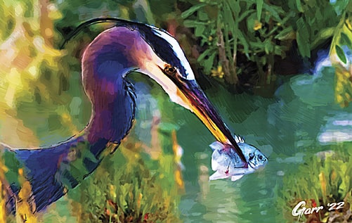 Commissioned Digital Painting: Garza Azul / Blue Heron